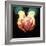 Heart Transplant-Kevin Curtis-Framed Premium Photographic Print