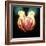 Heart Transplant-Kevin Curtis-Framed Premium Photographic Print