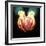 Heart Transplant-Kevin Curtis-Framed Premium Photographic Print