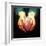 Heart Transplant-Kevin Curtis-Framed Premium Photographic Print