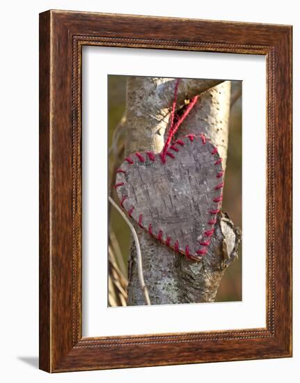 Heart, Tree, Bark, Love-Andrea Haase-Framed Photographic Print