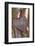 Heart, Tree, Bark, Love-Andrea Haase-Framed Photographic Print