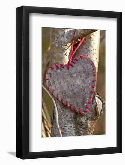 Heart, Tree, Bark, Love-Andrea Haase-Framed Photographic Print