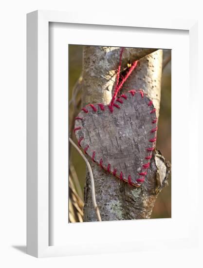 Heart, Tree, Bark, Love-Andrea Haase-Framed Photographic Print