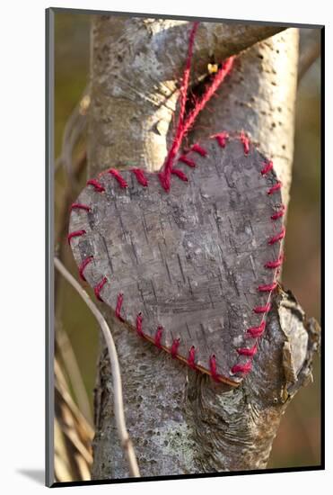 Heart, Tree, Bark, Love-Andrea Haase-Mounted Photographic Print