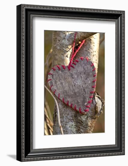 Heart, Tree, Bark, Love-Andrea Haase-Framed Photographic Print