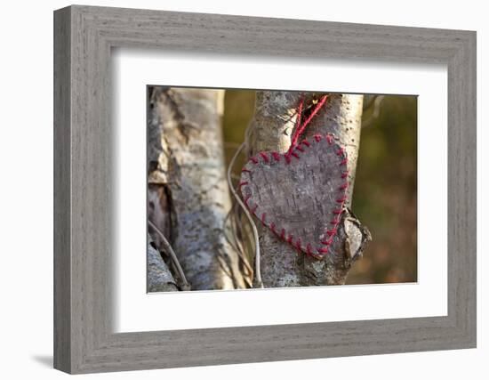 Heart, Tree, Bark, Love-Andrea Haase-Framed Photographic Print