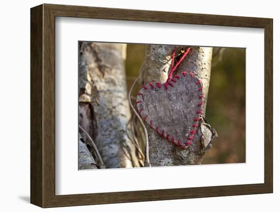 Heart, Tree, Bark, Love-Andrea Haase-Framed Photographic Print