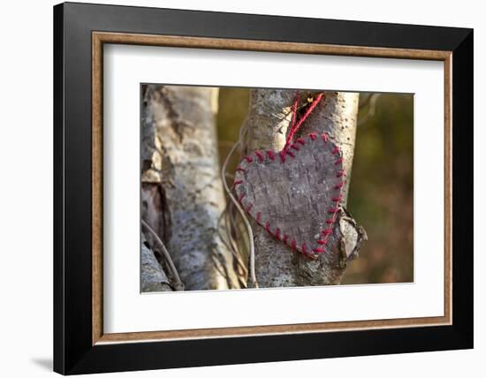 Heart, Tree, Bark, Love-Andrea Haase-Framed Photographic Print