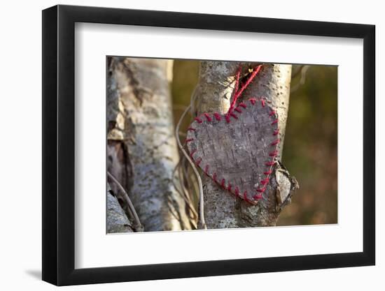 Heart, Tree, Bark, Love-Andrea Haase-Framed Photographic Print