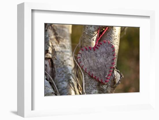 Heart, Tree, Bark, Love-Andrea Haase-Framed Photographic Print