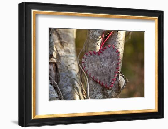 Heart, Tree, Bark, Love-Andrea Haase-Framed Photographic Print