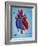 Heart Valves-Monica Schroeder-Framed Giclee Print