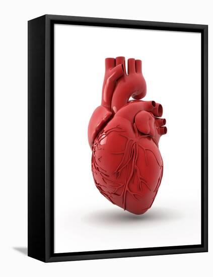 Heart with Coronary Vessels-PASIEKA-Framed Premier Image Canvas