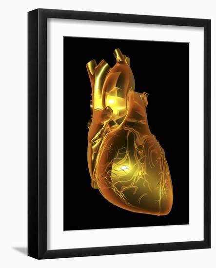 Heart with Coronary Vessels-PASIEKA-Framed Photographic Print