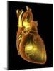Heart with Coronary Vessels-PASIEKA-Mounted Photographic Print