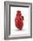 Heart with Coronary Vessels-PASIEKA-Framed Photographic Print