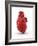 Heart with Coronary Vessels-PASIEKA-Framed Photographic Print