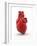 Heart with Coronary Vessels-PASIEKA-Framed Photographic Print