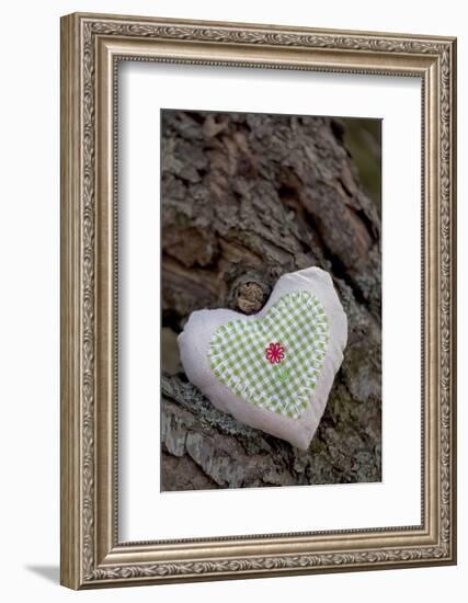 Heart with Square Application-Andrea Haase-Framed Photographic Print