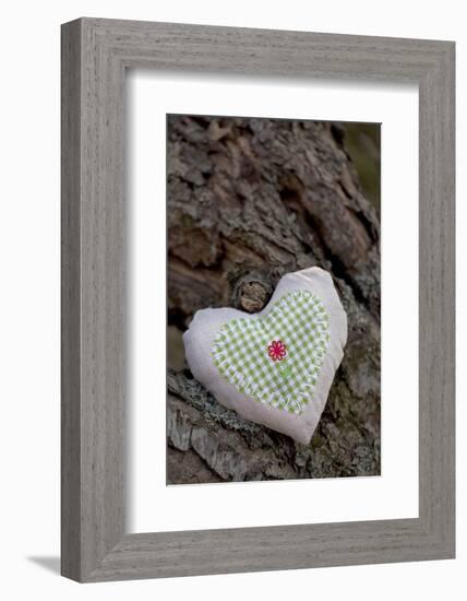 Heart with Square Application-Andrea Haase-Framed Photographic Print