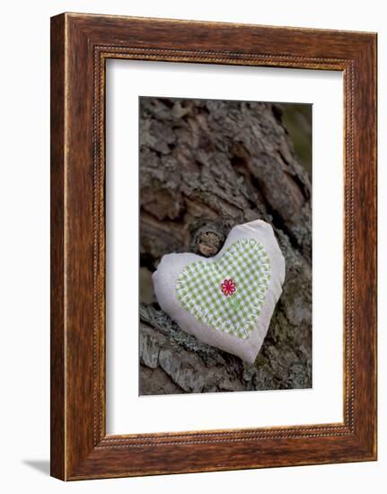 Heart with Square Application-Andrea Haase-Framed Photographic Print