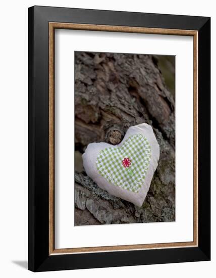 Heart with Square Application-Andrea Haase-Framed Photographic Print