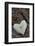 Heart with Square Application-Andrea Haase-Framed Photographic Print