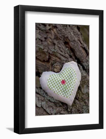 Heart with Square Application-Andrea Haase-Framed Photographic Print