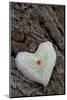 Heart with Square Application-Andrea Haase-Mounted Photographic Print