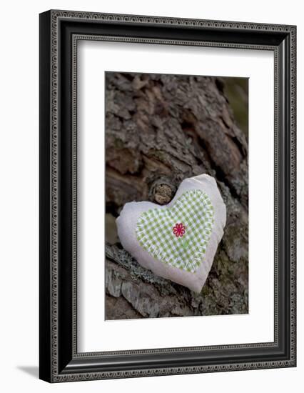 Heart with Square Application-Andrea Haase-Framed Photographic Print