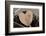 Heart, Wood, Cone, Decoration, Still Life-Andrea Haase-Framed Photographic Print