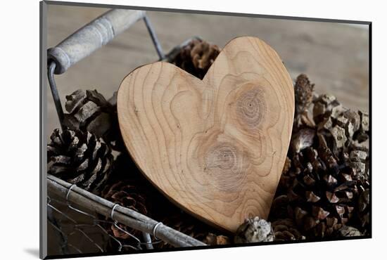 Heart, Wood, Cone, Decoration, Still Life-Andrea Haase-Mounted Photographic Print