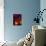 Heart-Doug Chinnery-Photographic Print displayed on a wall