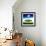Heartbox-Philippe Sainte-Laudy-Framed Photographic Print displayed on a wall