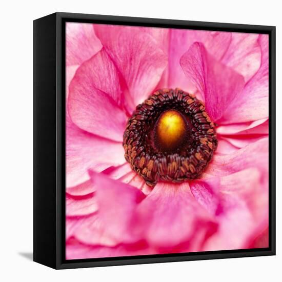 Hearts of Flowers II-Howard Ruby-Framed Premier Image Canvas
