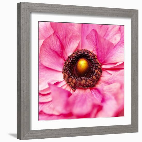 Hearts of Flowers II-Howard Ruby-Framed Photographic Print