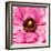 Hearts of Flowers II-Howard Ruby-Framed Photographic Print