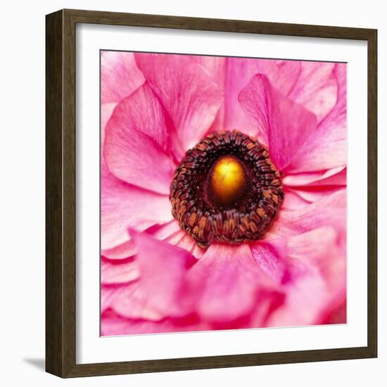 Hearts of Flowers II-Howard Ruby-Framed Photographic Print