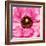 Hearts of Flowers II-Howard Ruby-Framed Photographic Print