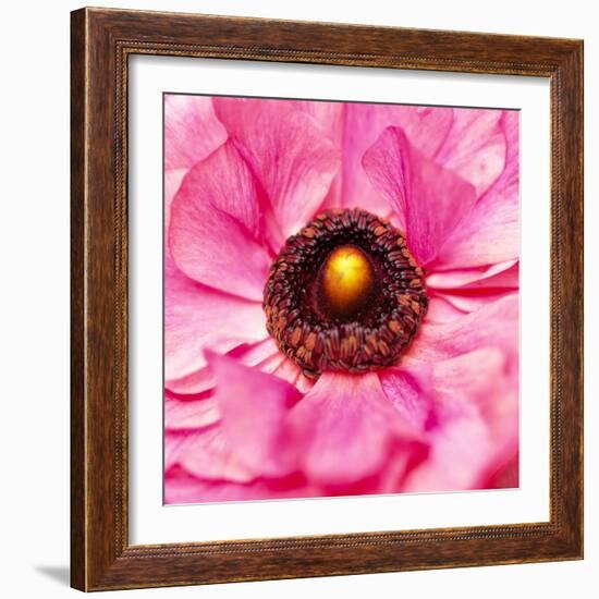 Hearts of Flowers II-Howard Ruby-Framed Photographic Print