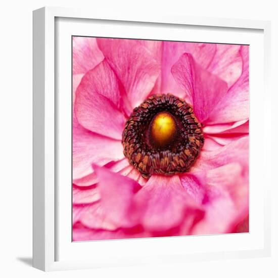 Hearts of Flowers II-Howard Ruby-Framed Photographic Print