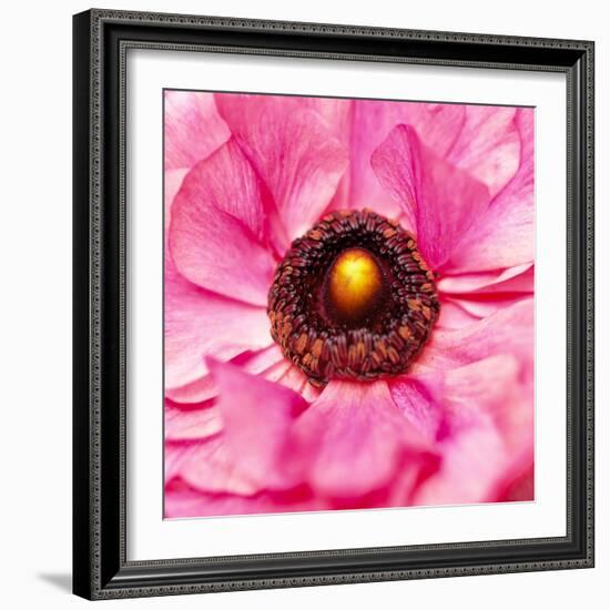 Hearts of Flowers II-Howard Ruby-Framed Photographic Print