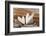 Hearts, Wood, Deko, Stilllife-Andrea Haase-Framed Photographic Print