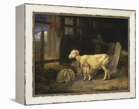Heath Ewe and Lambs, 1810-James Ward-Framed Premier Image Canvas