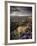 Heather and Moorland View, Near Birch Tor, Dartmoor Np, Devon, UK, August 2008-Ross Hoddinott-Framed Photographic Print