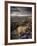 Heather and Moorland View, Near Birch Tor, Dartmoor Np, Devon, UK, August 2008-Ross Hoddinott-Framed Photographic Print