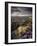 Heather and Moorland View, Near Birch Tor, Dartmoor Np, Devon, UK, August 2008-Ross Hoddinott-Framed Photographic Print