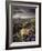 Heather and Moorland View, Near Birch Tor, Dartmoor Np, Devon, UK, August 2008-Ross Hoddinott-Framed Photographic Print