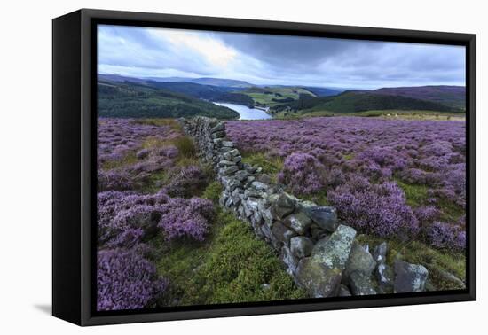 Heather Covered Bamford Moor-Eleanor Scriven-Framed Premier Image Canvas